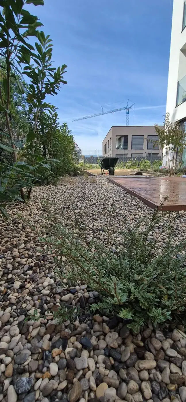 Gredica z okroglim prodcem in grmovnicami ob ograji